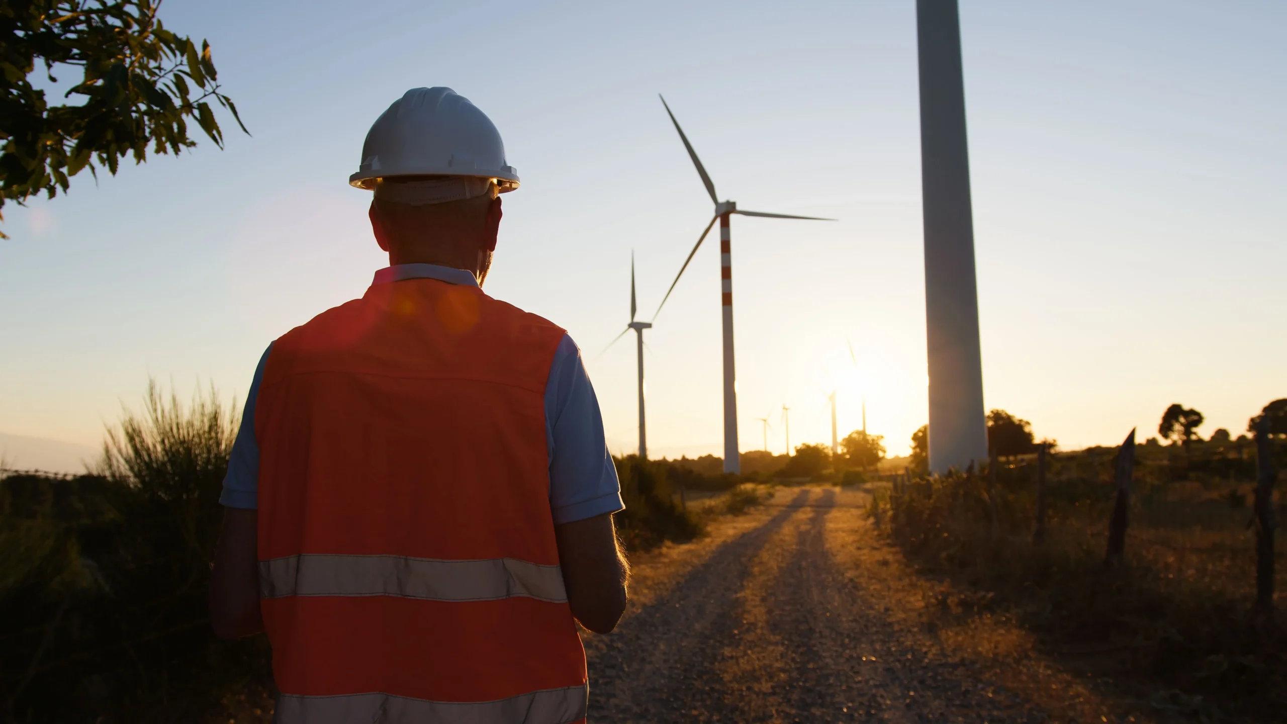 parque de energía eólica